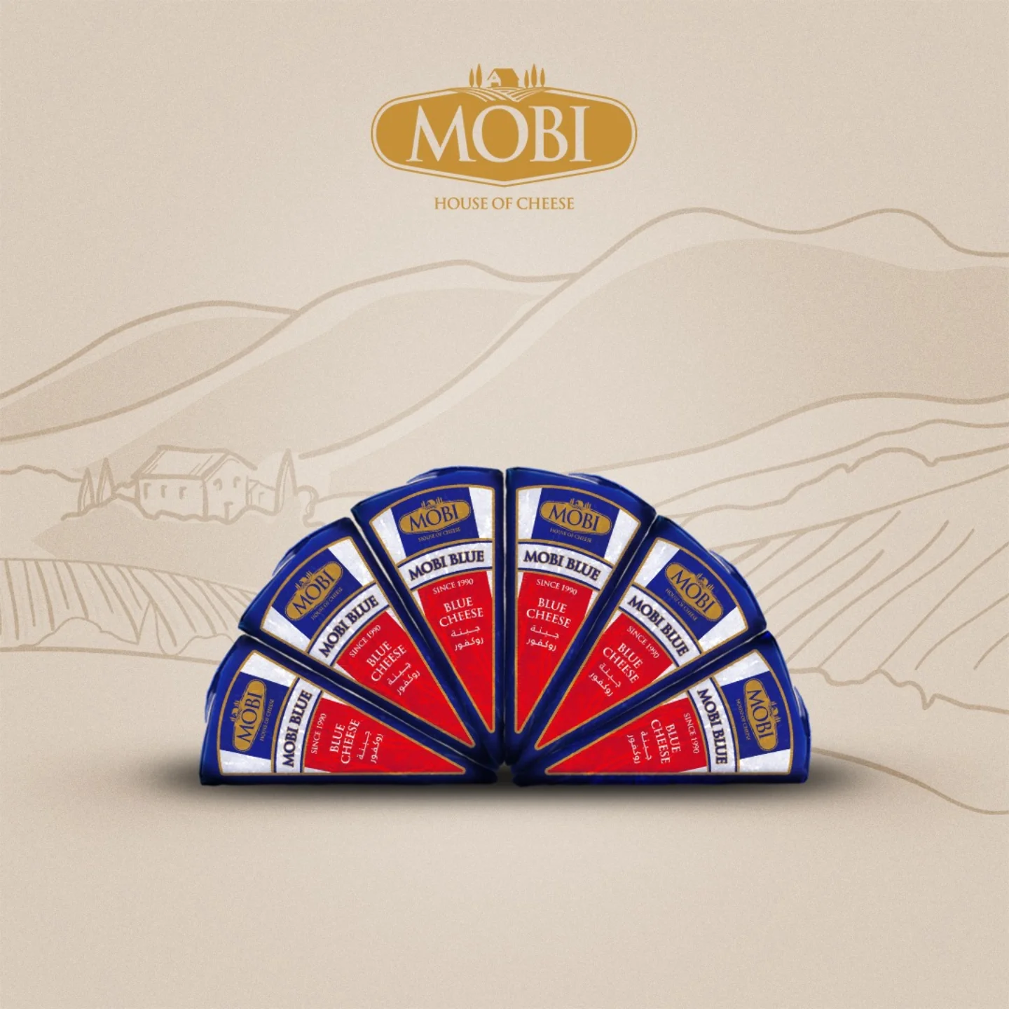 Classic Blue Cheese Triangle