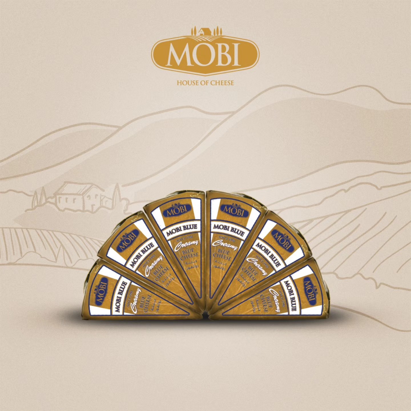 Creamy Blue Cheese Triangle