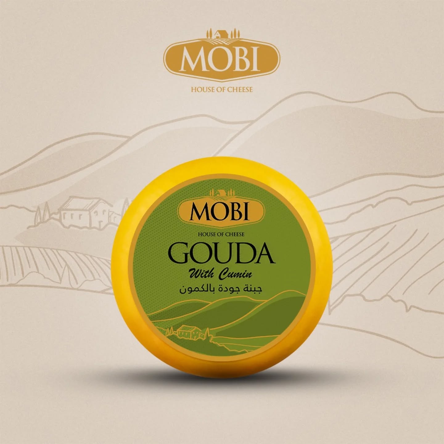 Gouda Cheese with Cumen